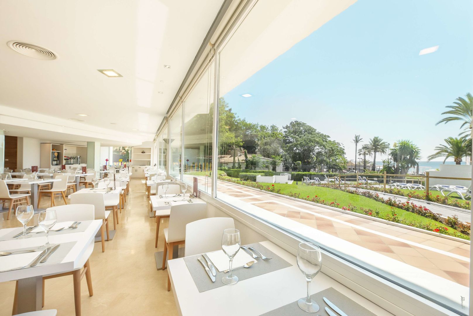 Globales Gardenia image 3