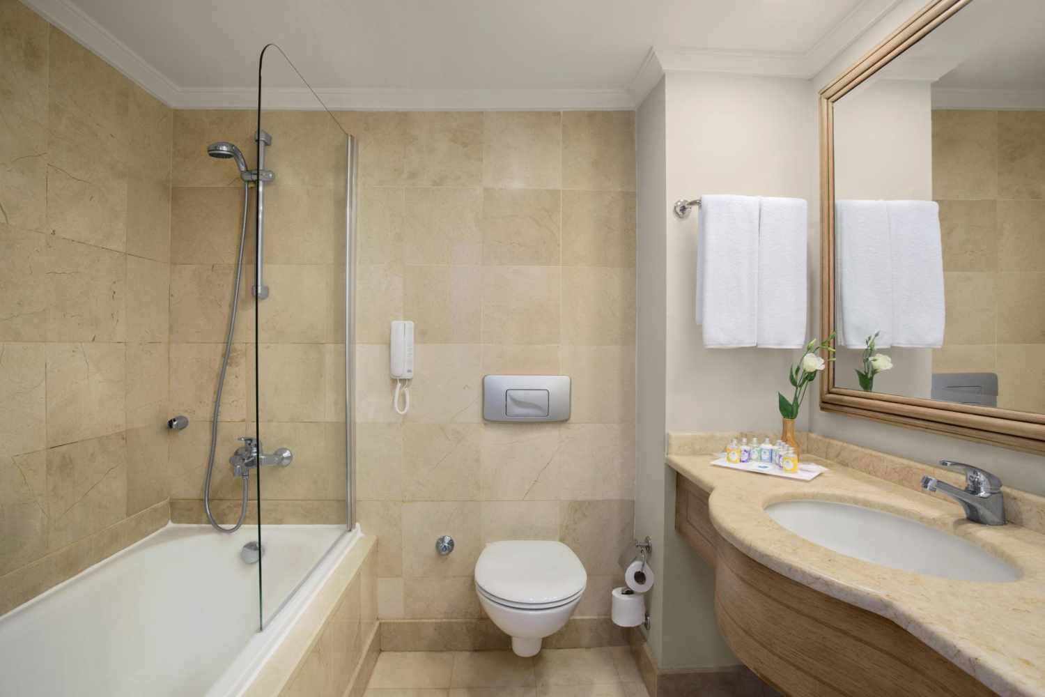 IC Hotels Green Palace foto 78