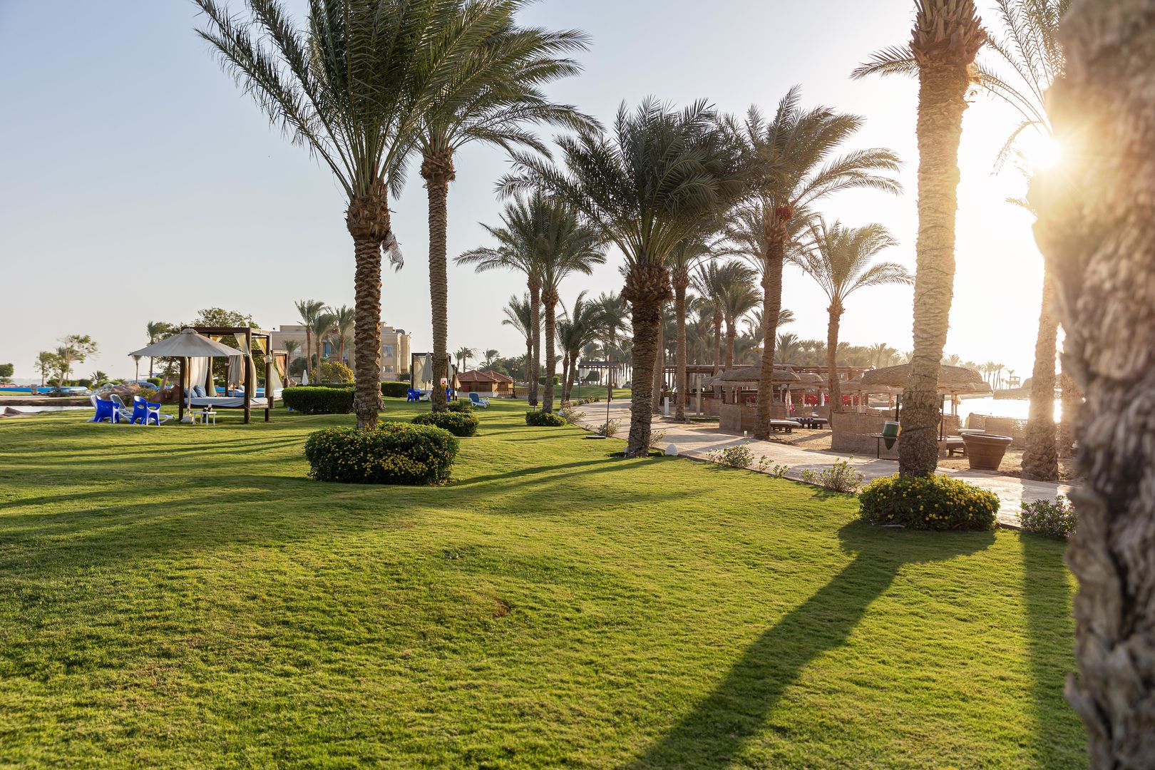 Palm Royale Resort - Soma Bay foto 26