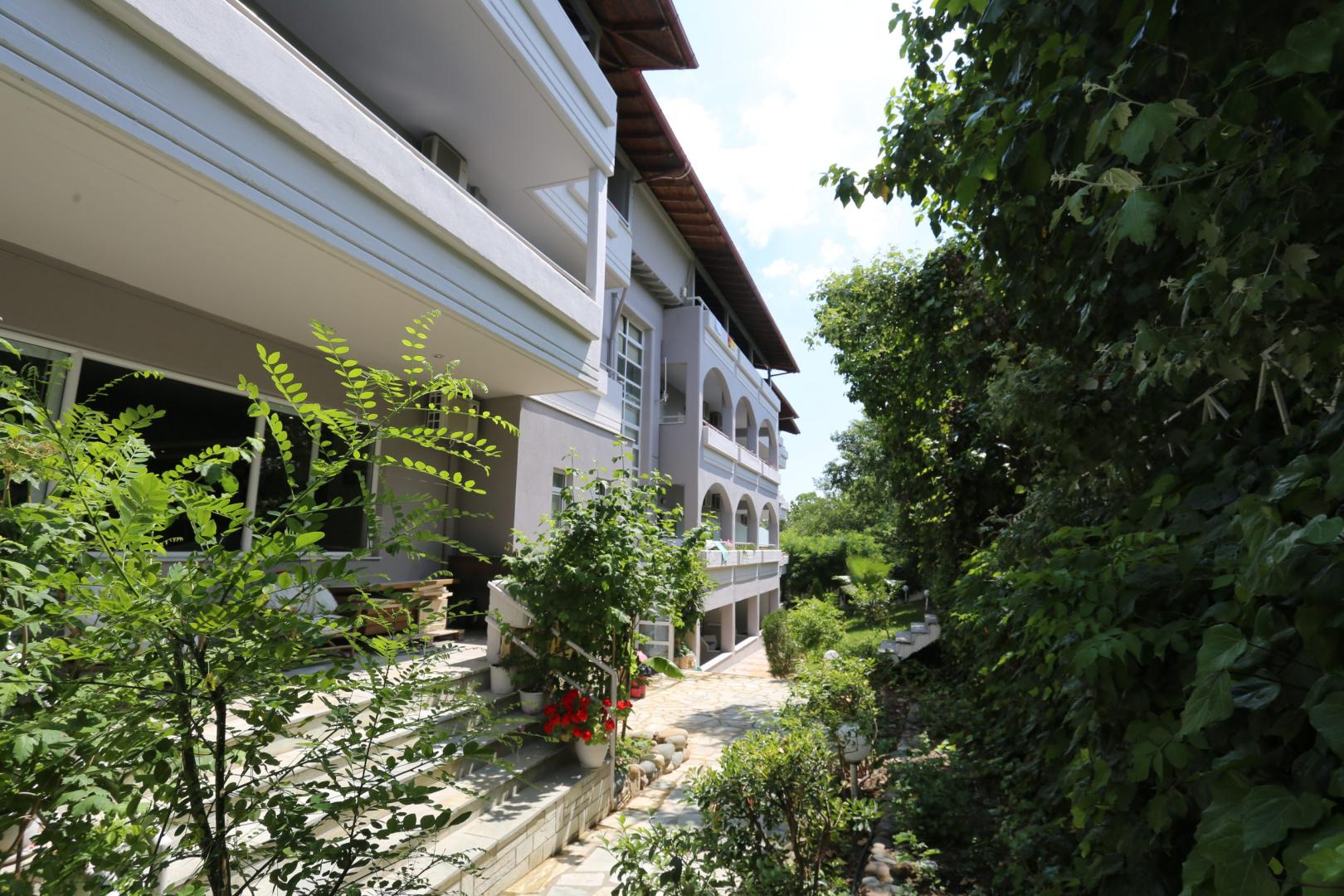 Tropical Hotel foto 16
