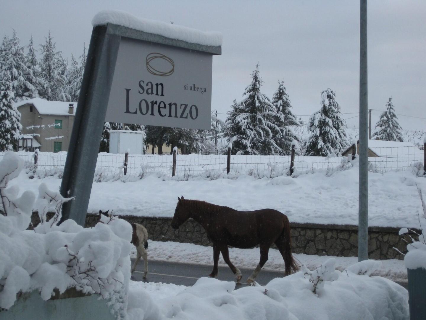 San Lorenzo Si Alberga foto 16