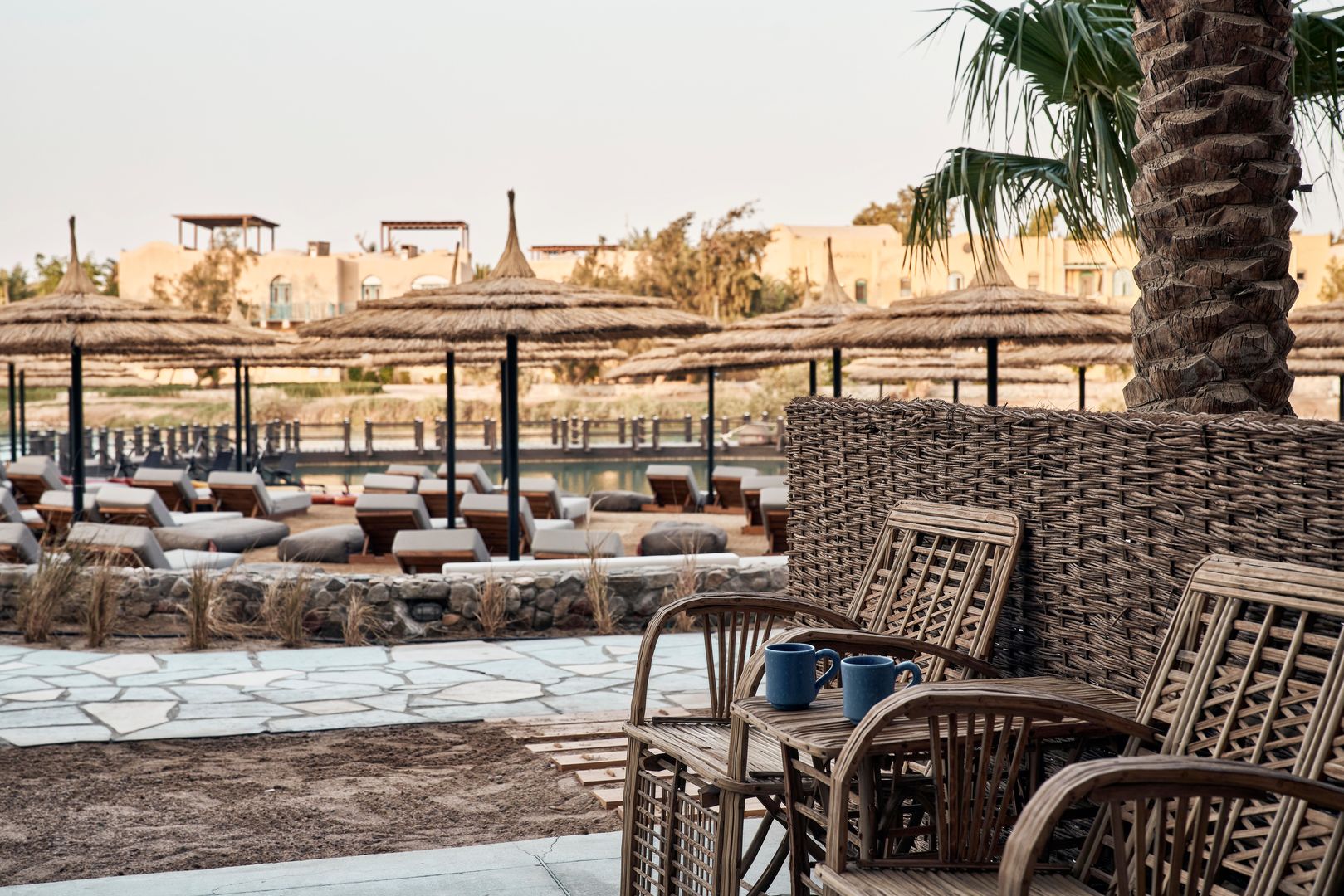 Cook's Club El Gouna foto 53