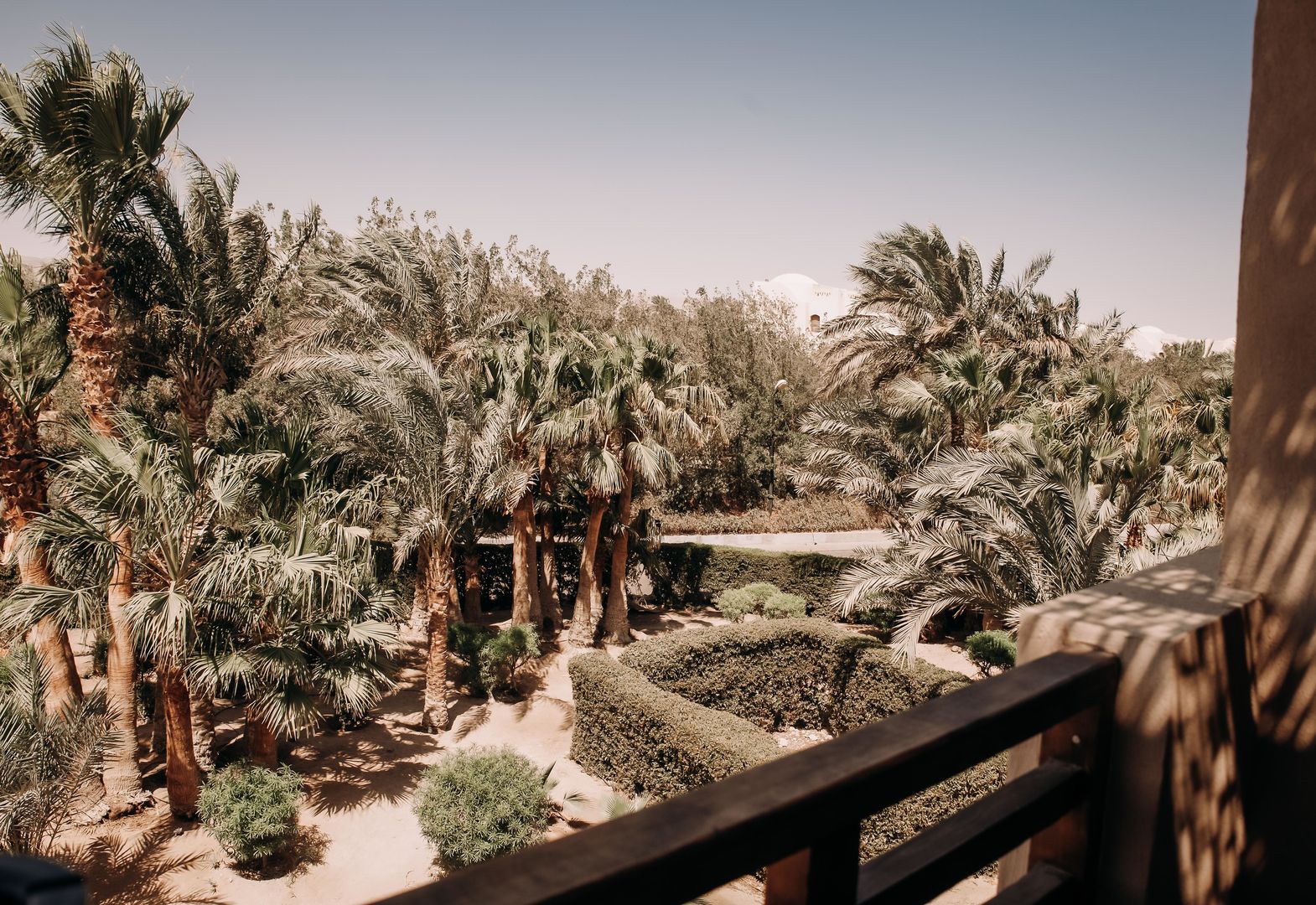 Cook's Club El Gouna foto 60