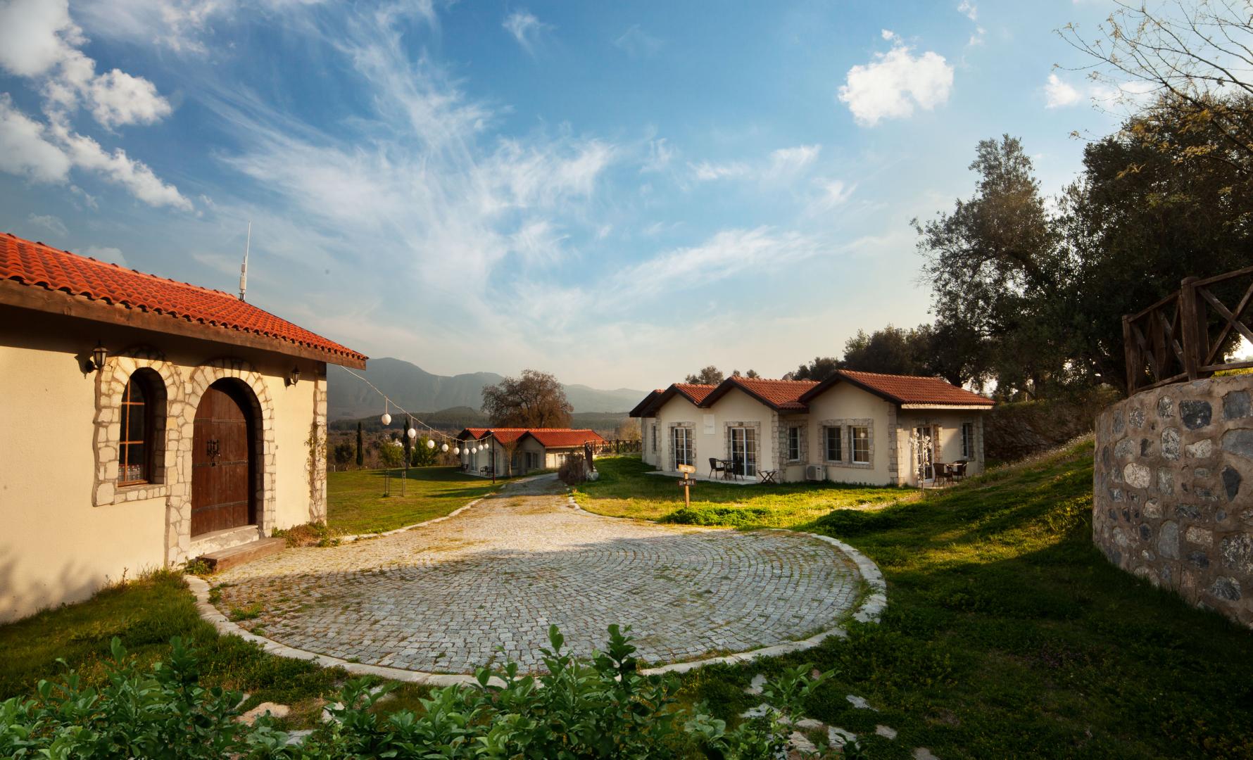 Vinifera Vineyards Hotel foto 17
