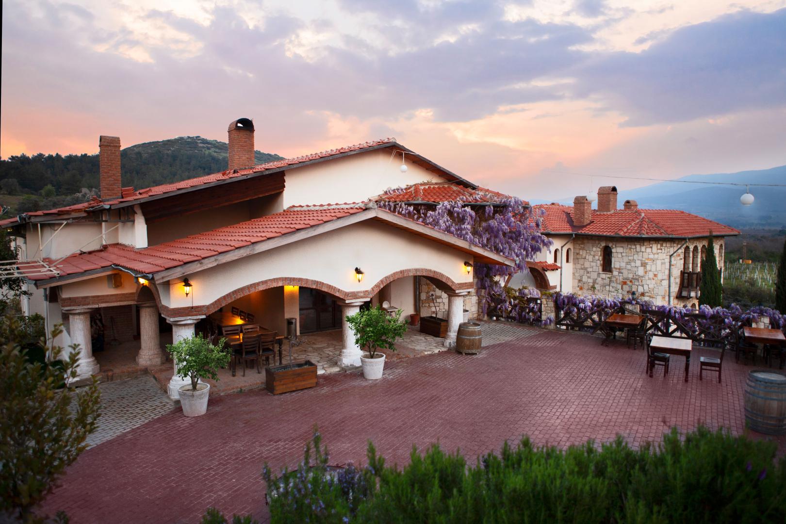 Vinifera Vineyards Hotel foto 20