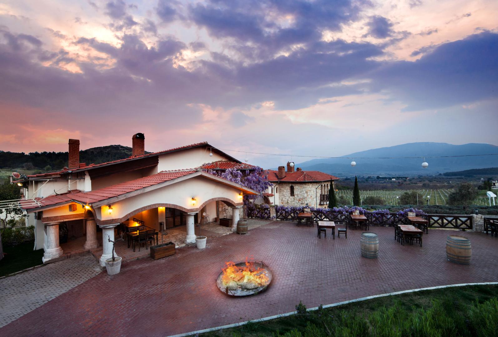 Vinifera Vineyards Hotel foto 22