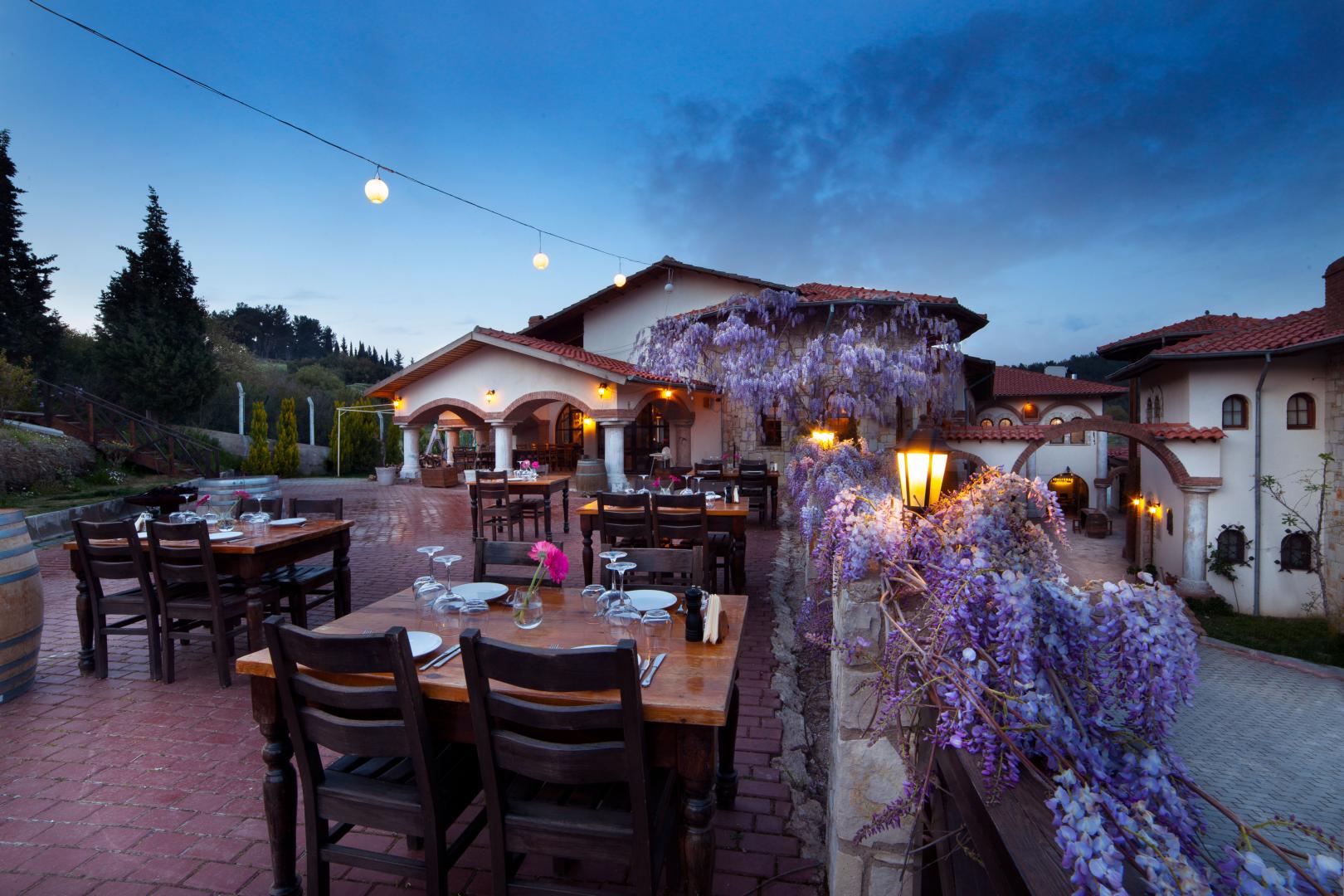Vinifera Vineyards Hotel image 2