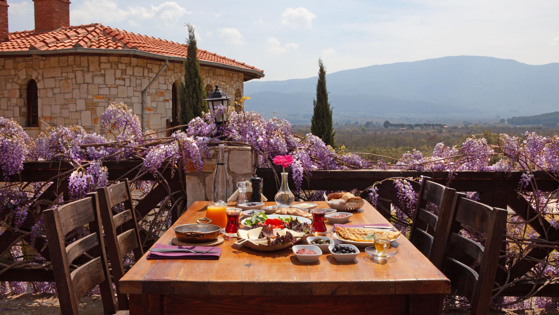 Vinifera Vineyards Hotel foto 11