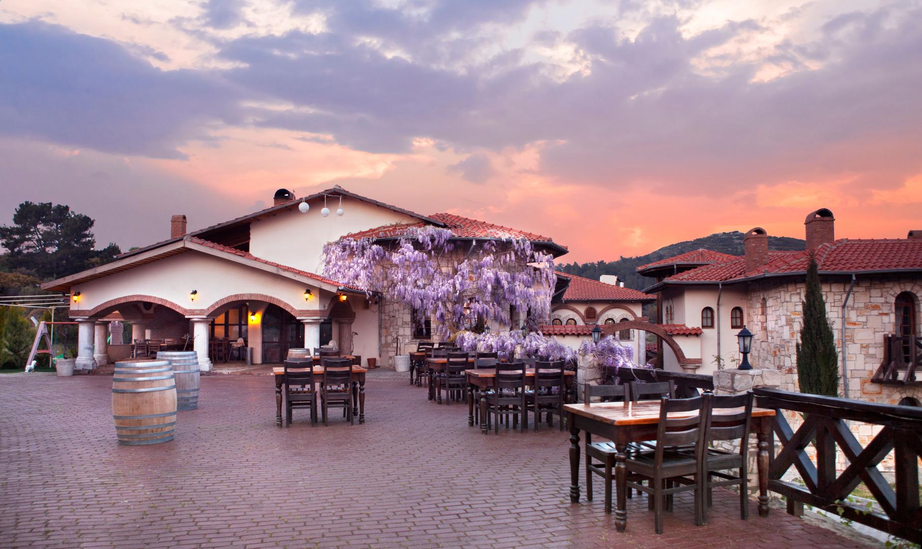 Vinifera Vineyards Hotel image 3