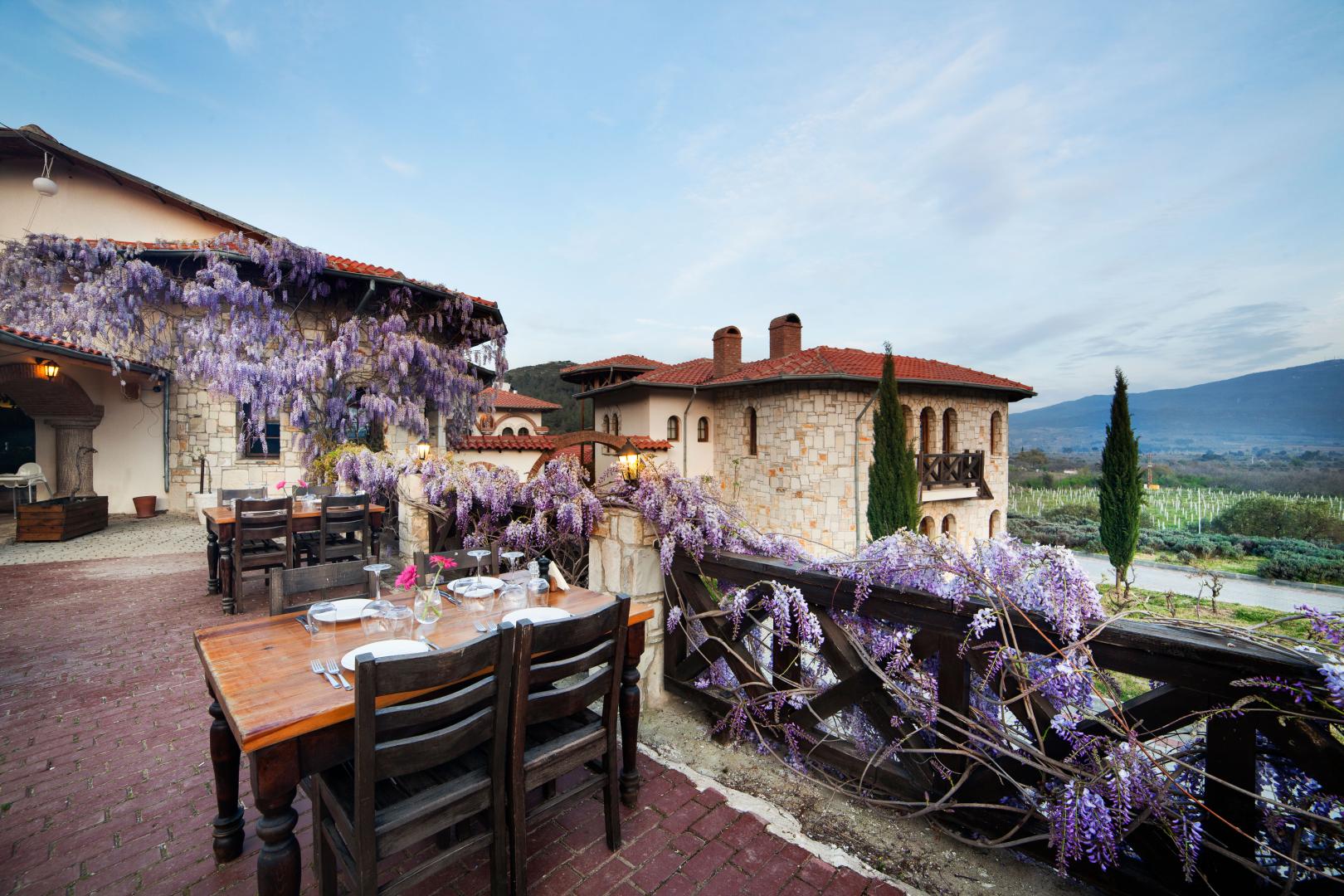 Vinifera Vineyards Hotel foto 12