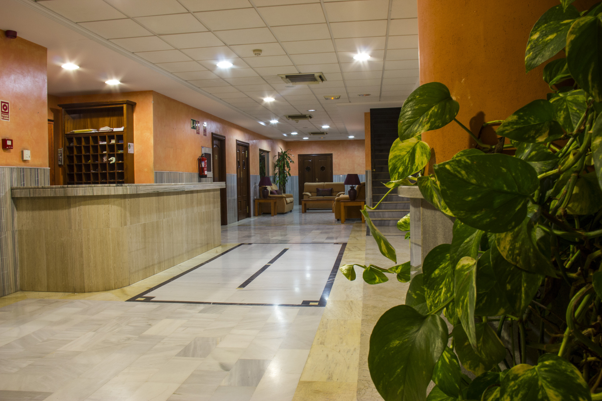 Toboso Almunecar image 1