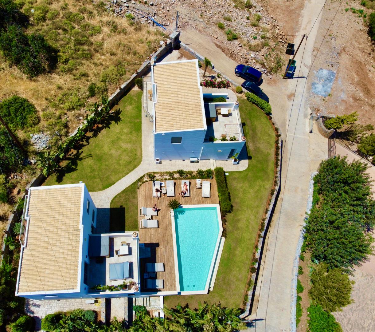 Zwembad omringd door palmbomen — Creta Blue