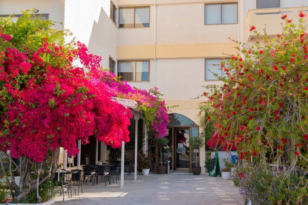 Hotel Esperides foto 19