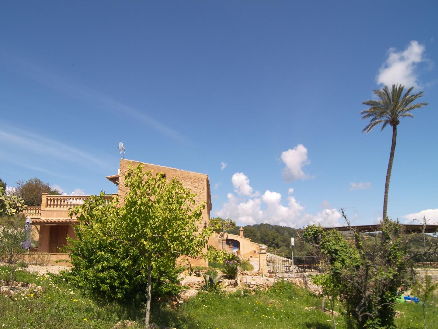 Agroturisme Es Picot foto 16