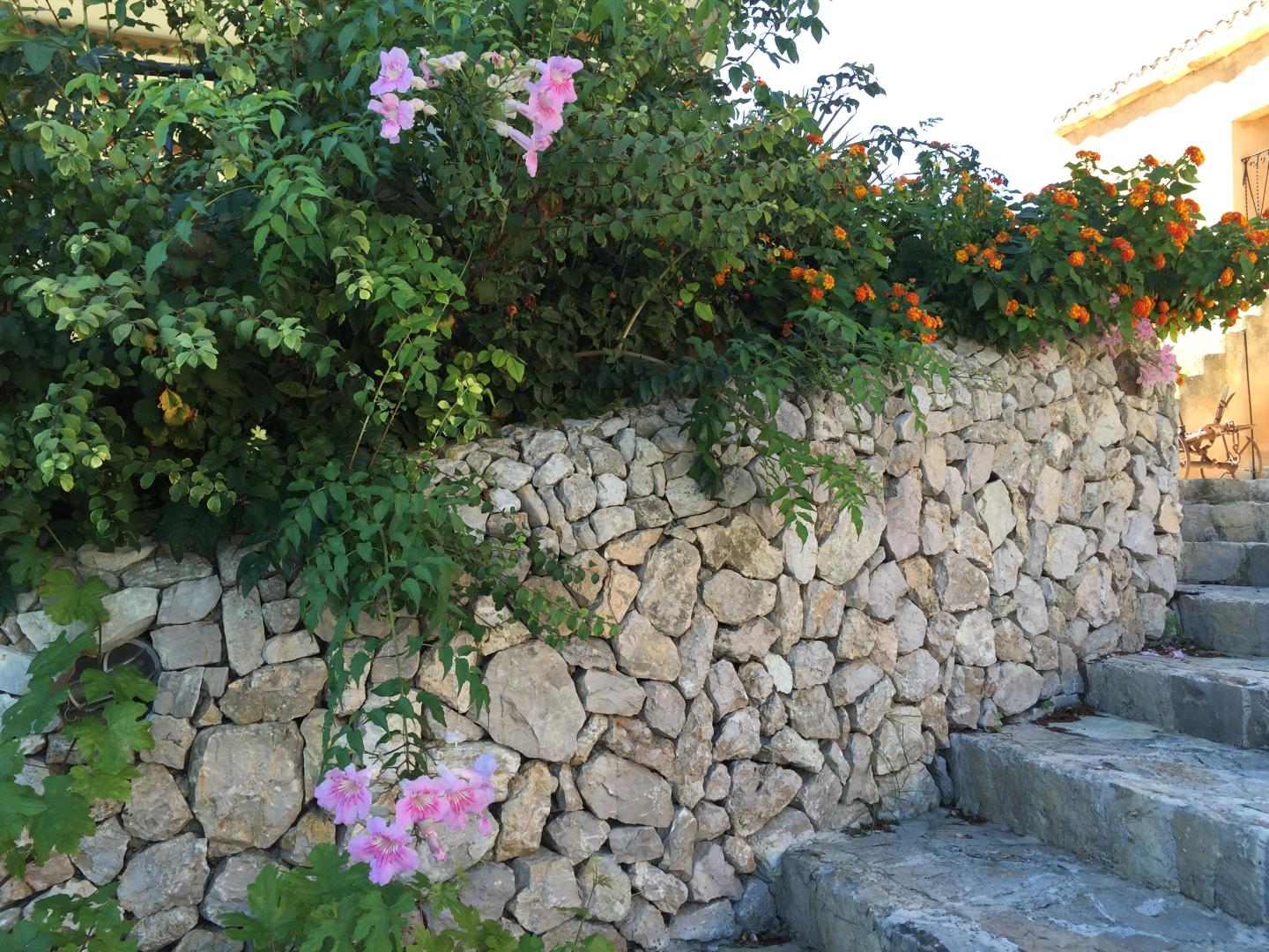 Agroturisme Es Picot foto 24