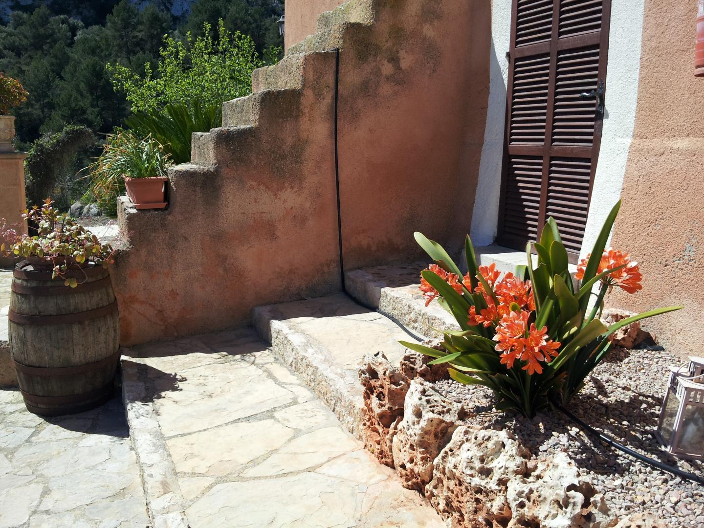 Agroturisme Es Picot foto 9
