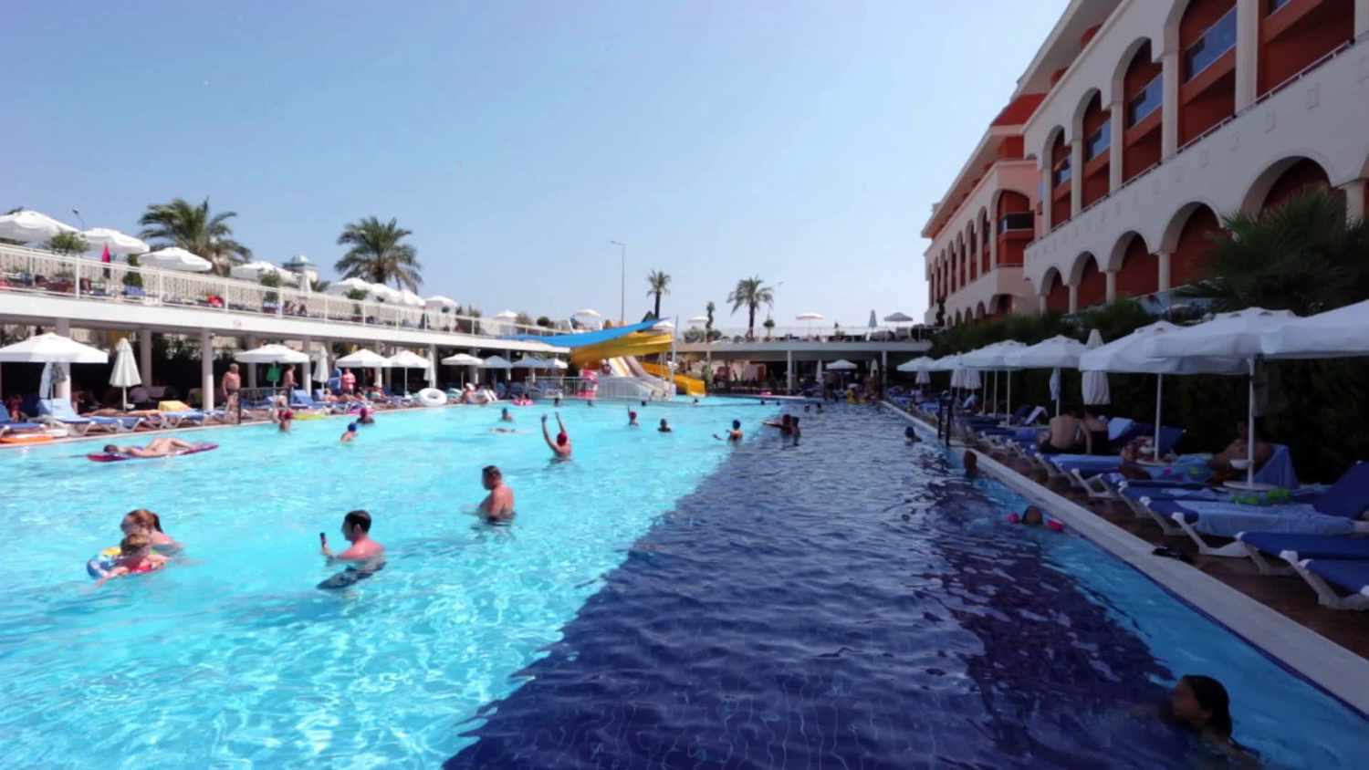 Delphin Diva image 2