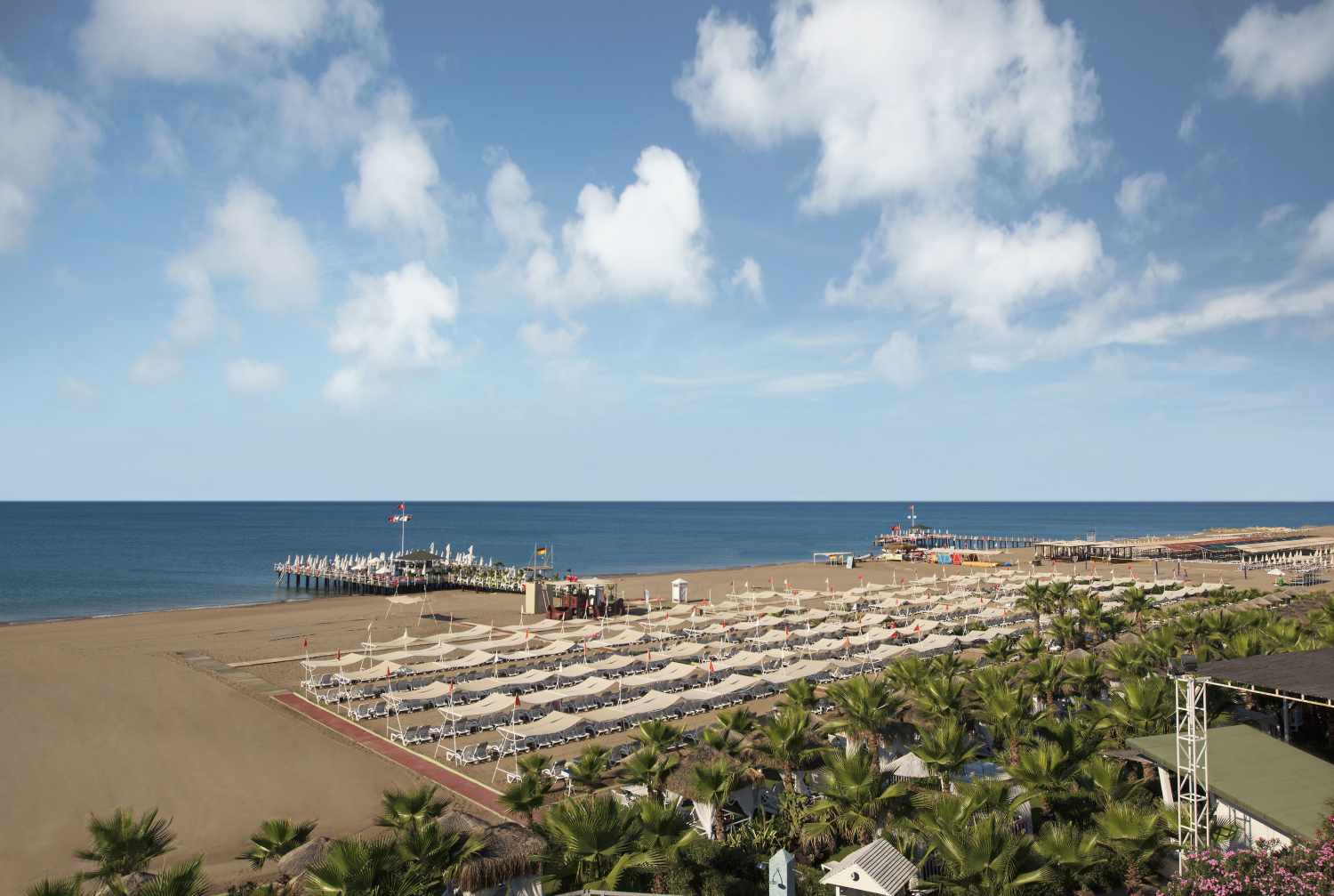 Delphin Diva image 3