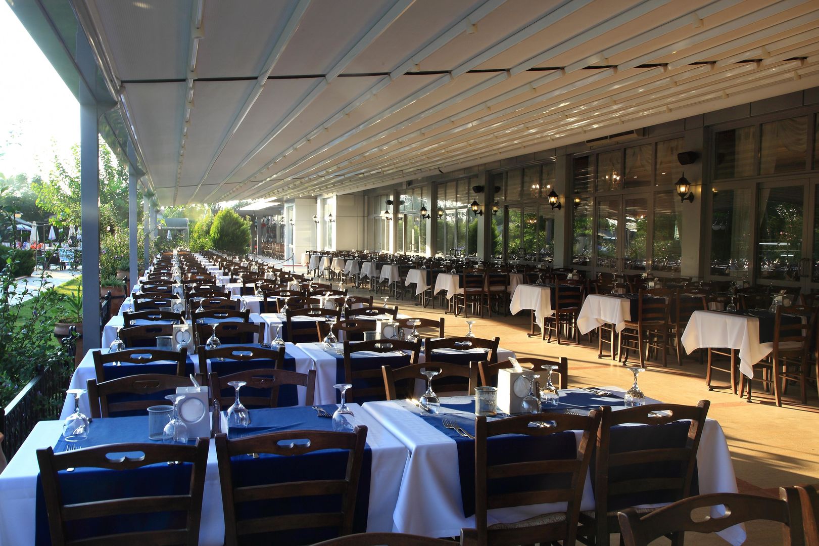 Cactus Paradise image 3