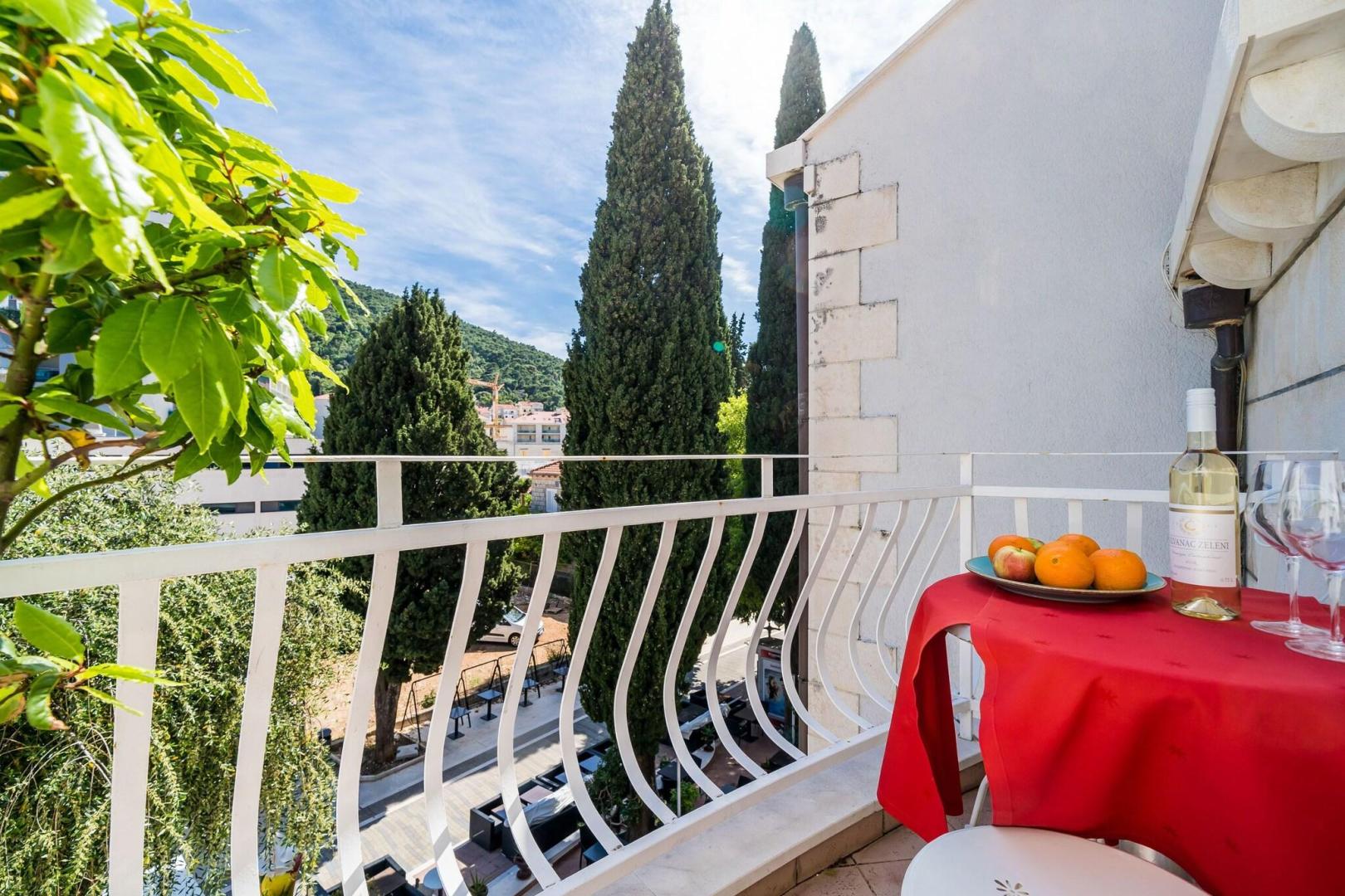 Hotel Dubrovnik foto 45