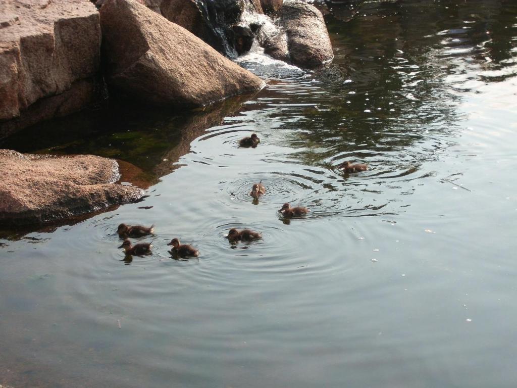 Binnenzwembad — Bagaglino I Giardini di Porto Cervo