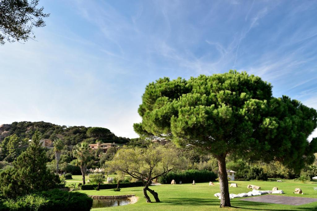 Tropische tuin met palmbomen — Bagaglino I Giardini di Porto Cervo