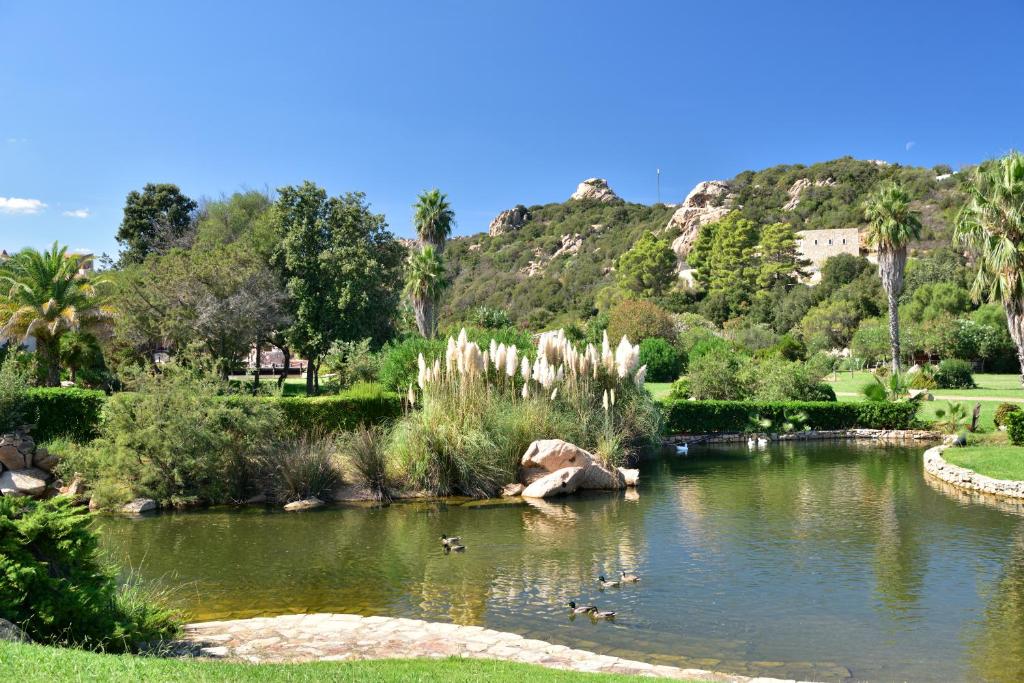 Tropische tuin met palmbomen — Bagaglino I Giardini di Porto Cervo