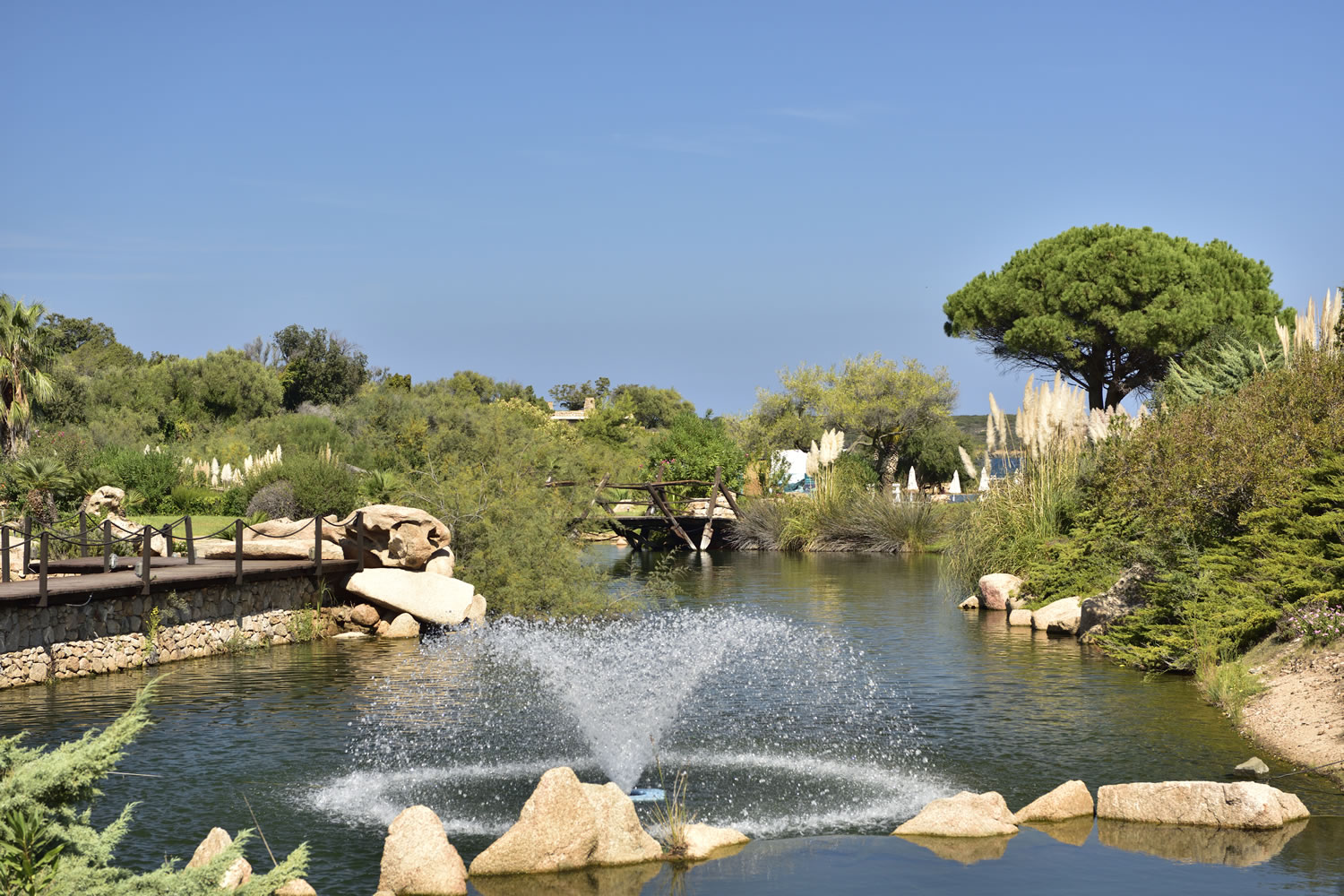 Tropische tuin met palmbomen — Bagaglino I Giardini di Porto Cervo