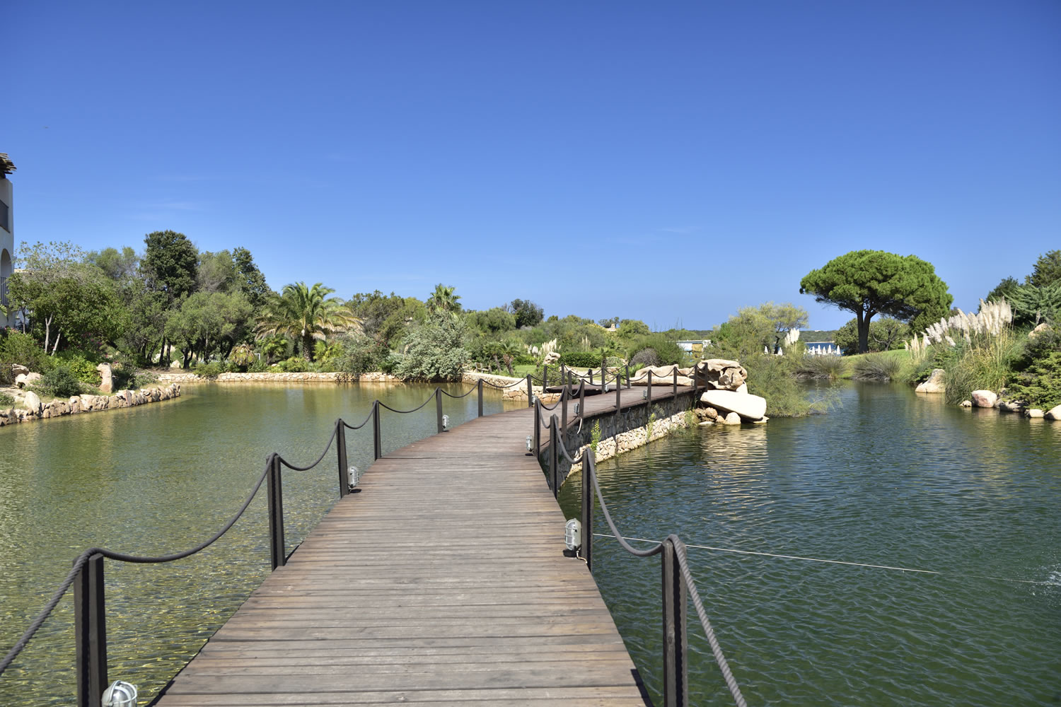 Tropische tuin met palmbomen — Bagaglino I Giardini di Porto Cervo