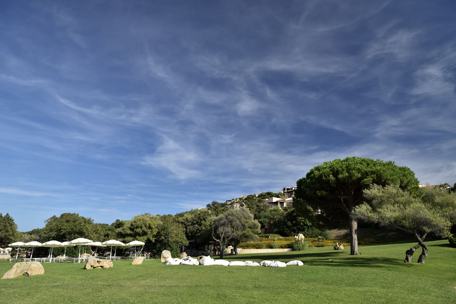 Tropische tuin met palmbomen — Bagaglino I Giardini di Porto Cervo