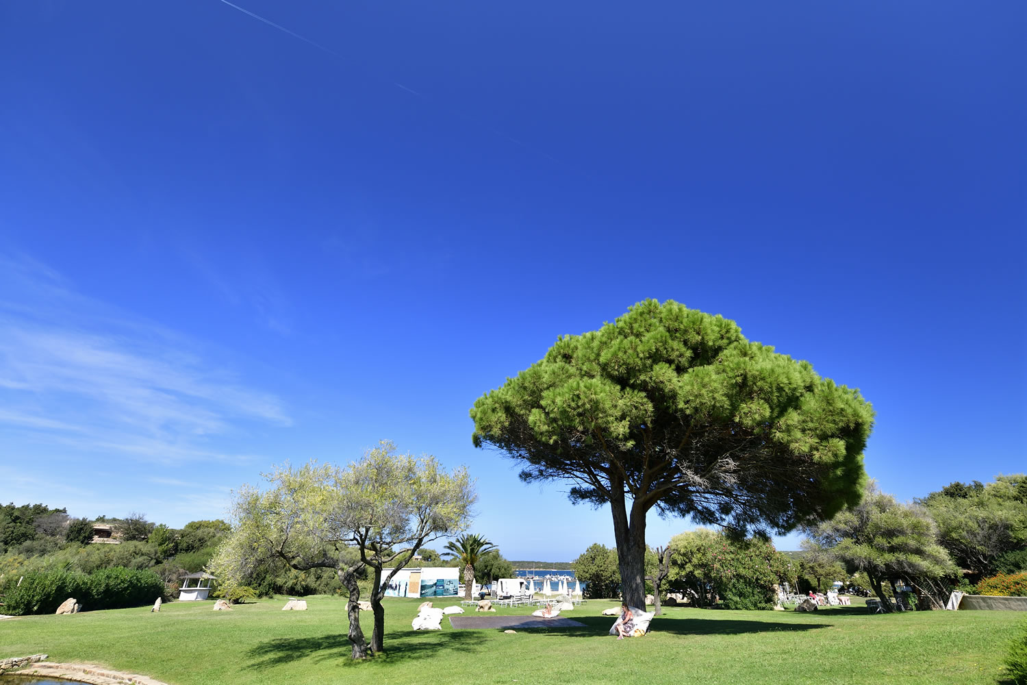 Tropische tuin met palmbomen — Bagaglino I Giardini di Porto Cervo