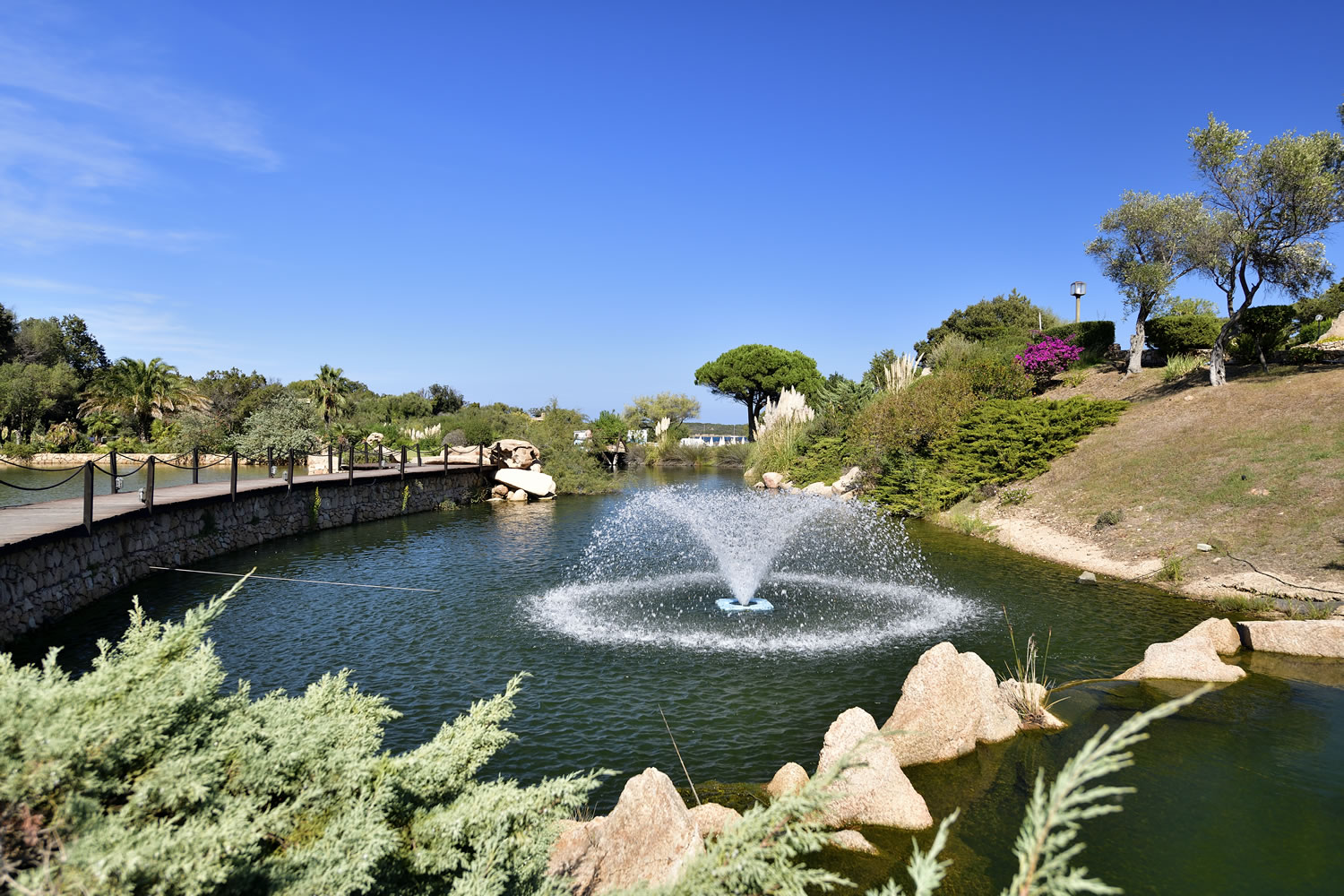 Tropische tuin met palmbomen — Bagaglino I Giardini di Porto Cervo