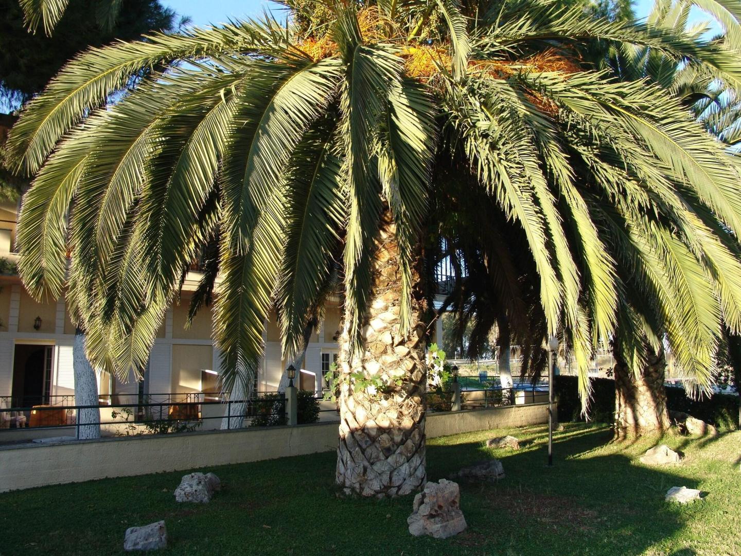 Hotel Ignatia foto 24