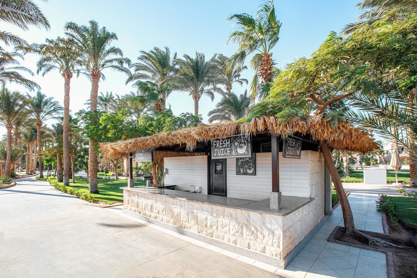 Jaz Makadi Oasis Resort foto 43