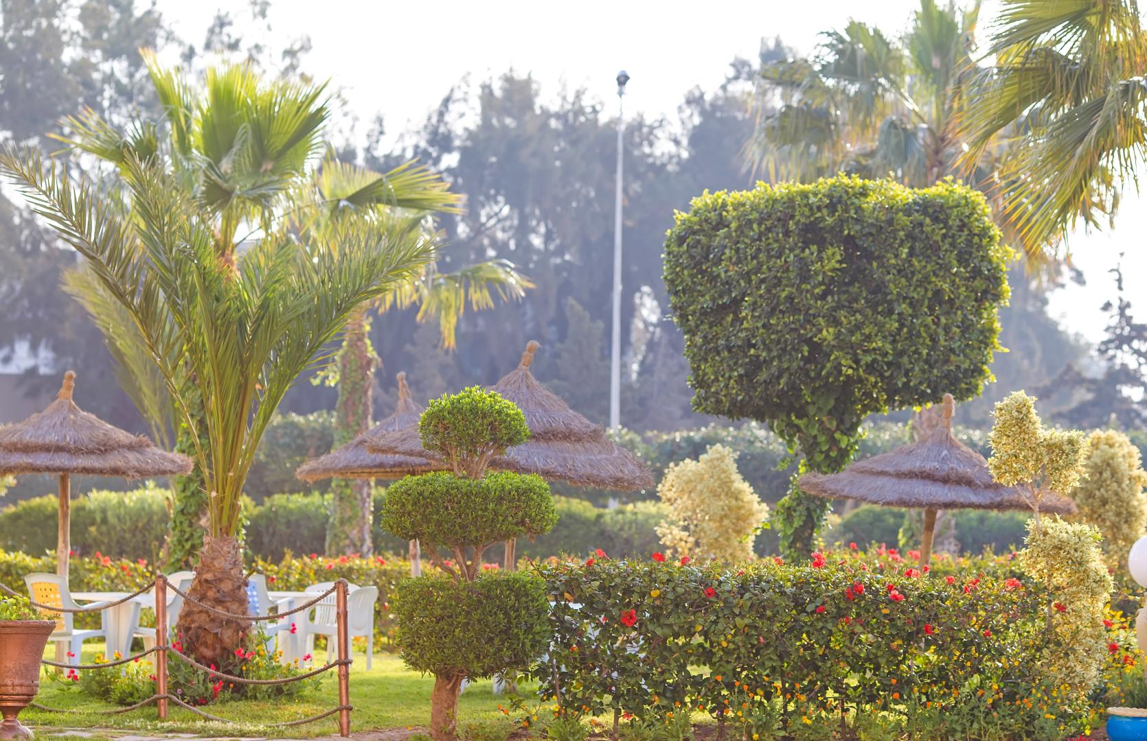 Houria Palace foto 44
