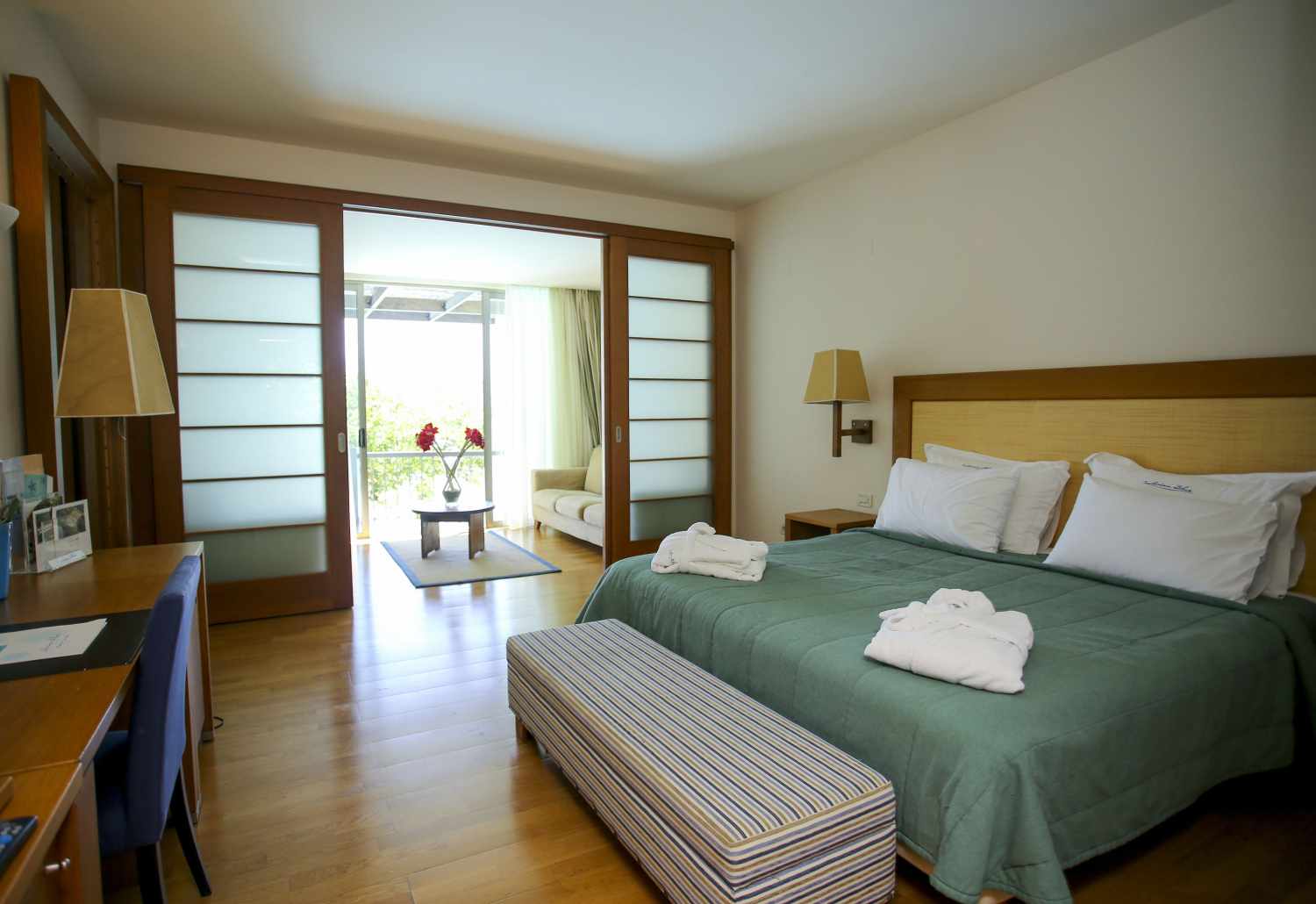 Ionian Blue Hotel foto 27