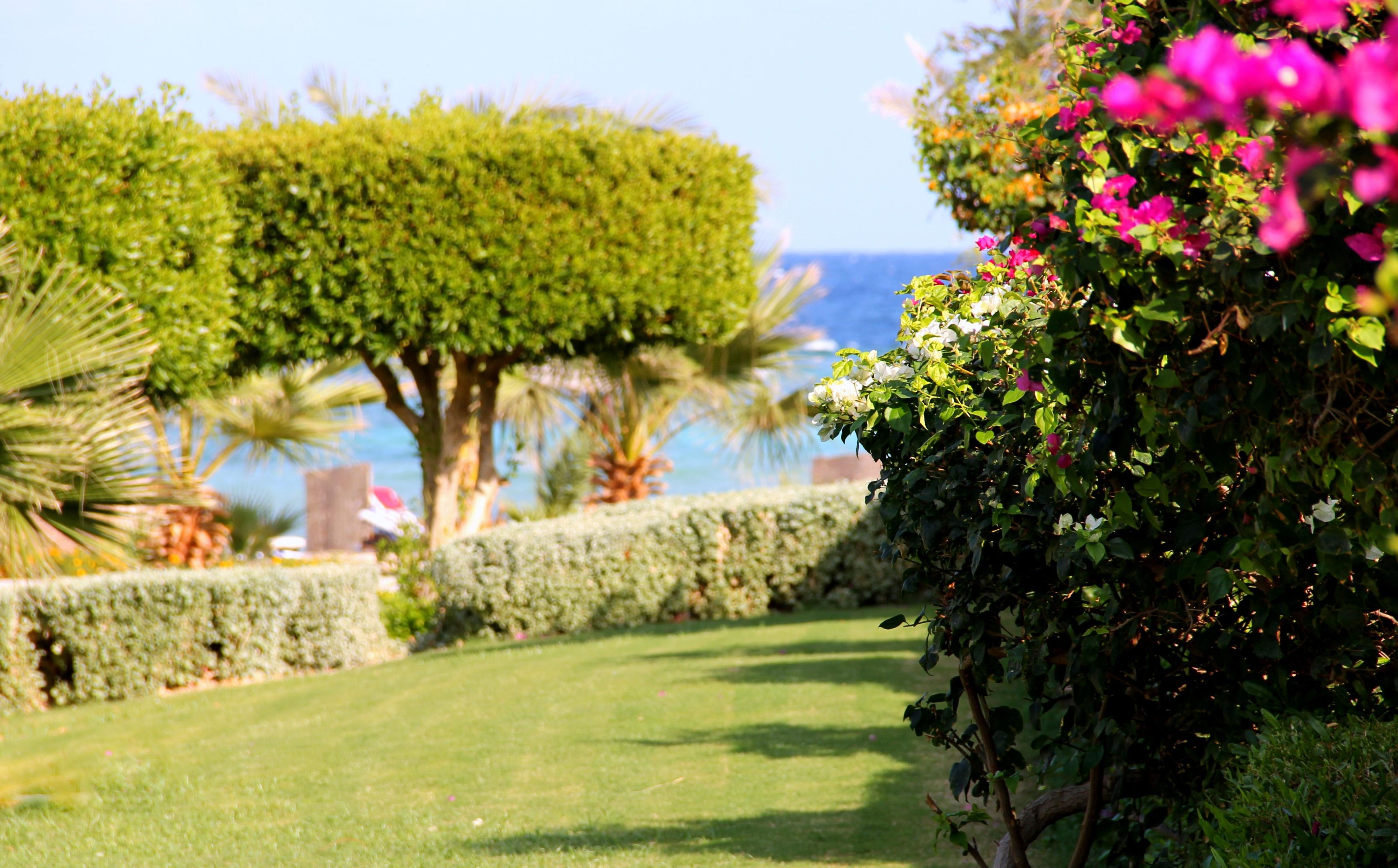 Royal Brayka Resort foto 48