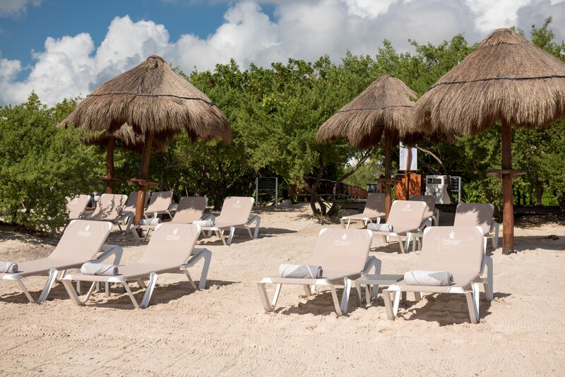 Platinum Yucatán Princess foto 157