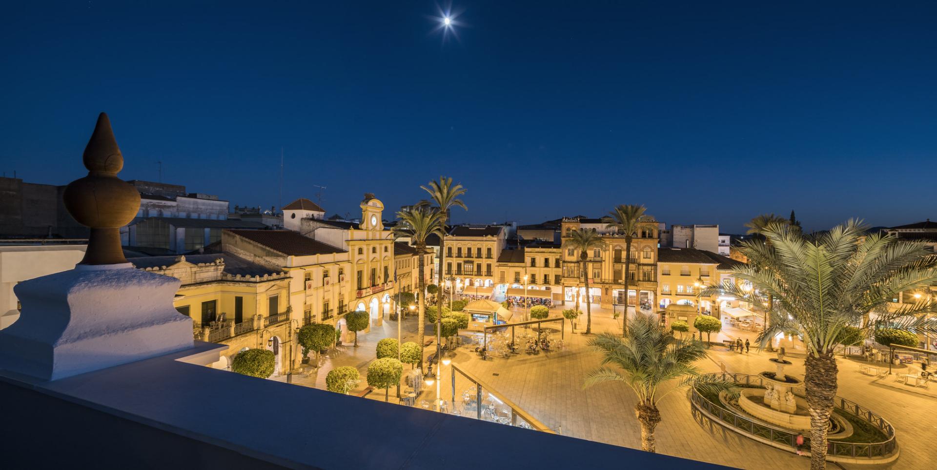 Hotel ILUNION Mérida Palace foto 17