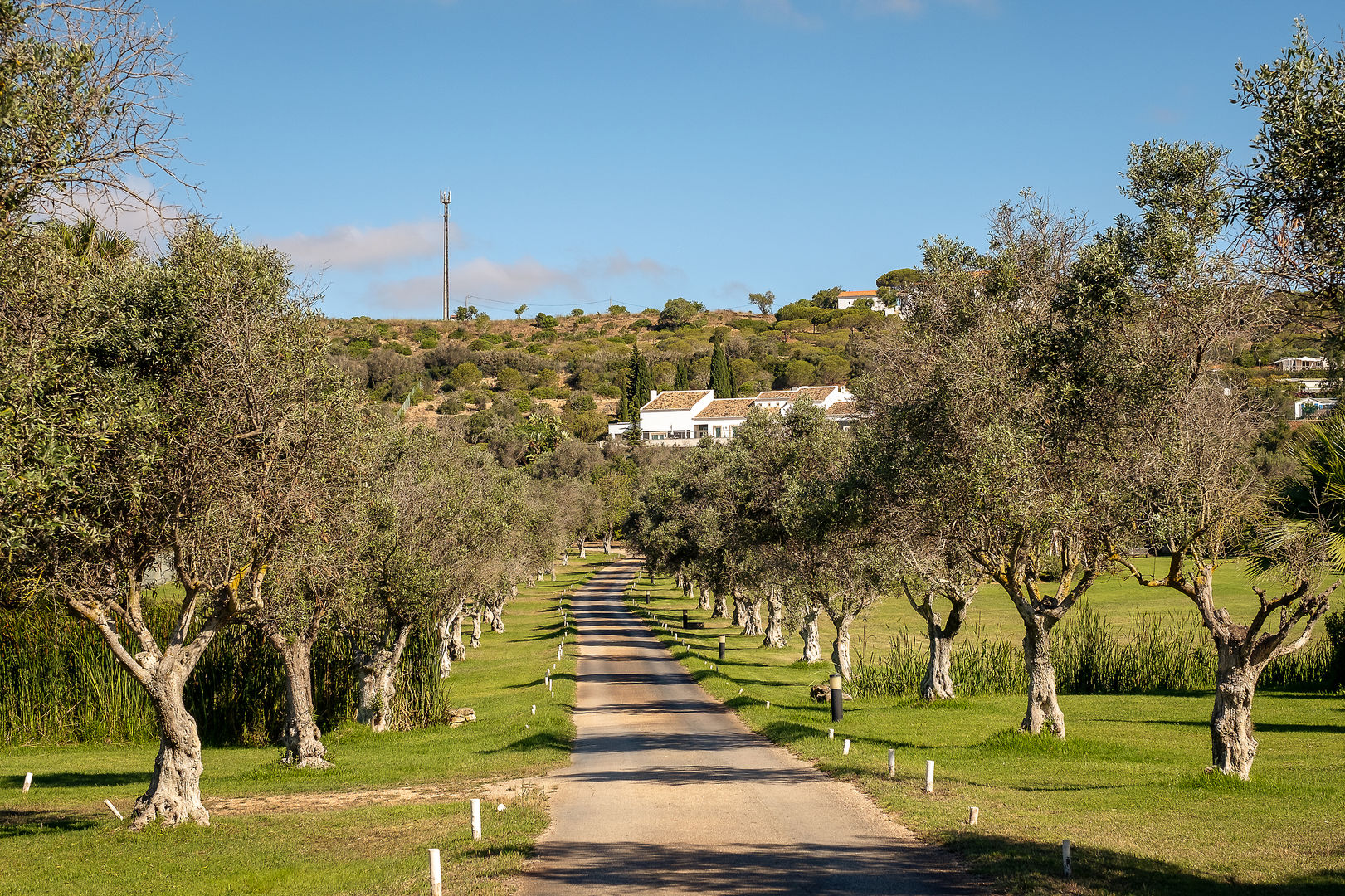 Vila Valverde - Design & Country Hotel foto 9