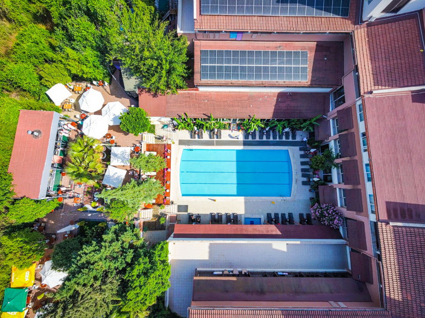 Dg Hotels Rose Resort foto 6