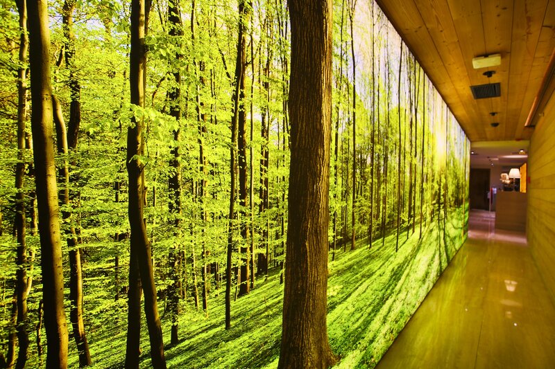 Dosso Dossi Hotels & SPA Downtown image 0