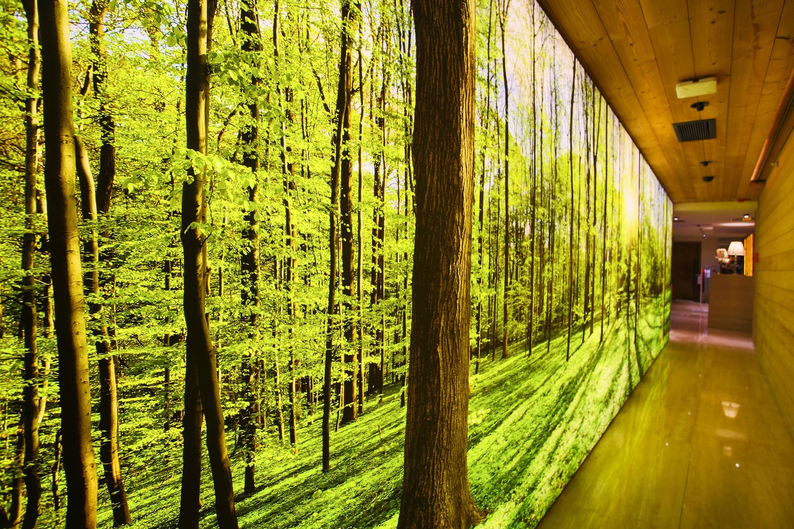 Dosso Dossi Hotels & SPA Downtown image 1