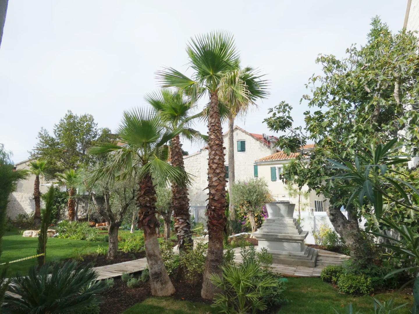 Divota foto 9