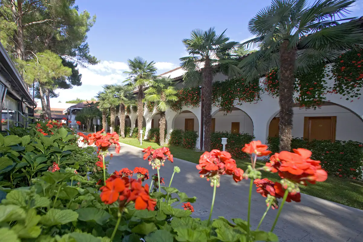 Hotel image 3