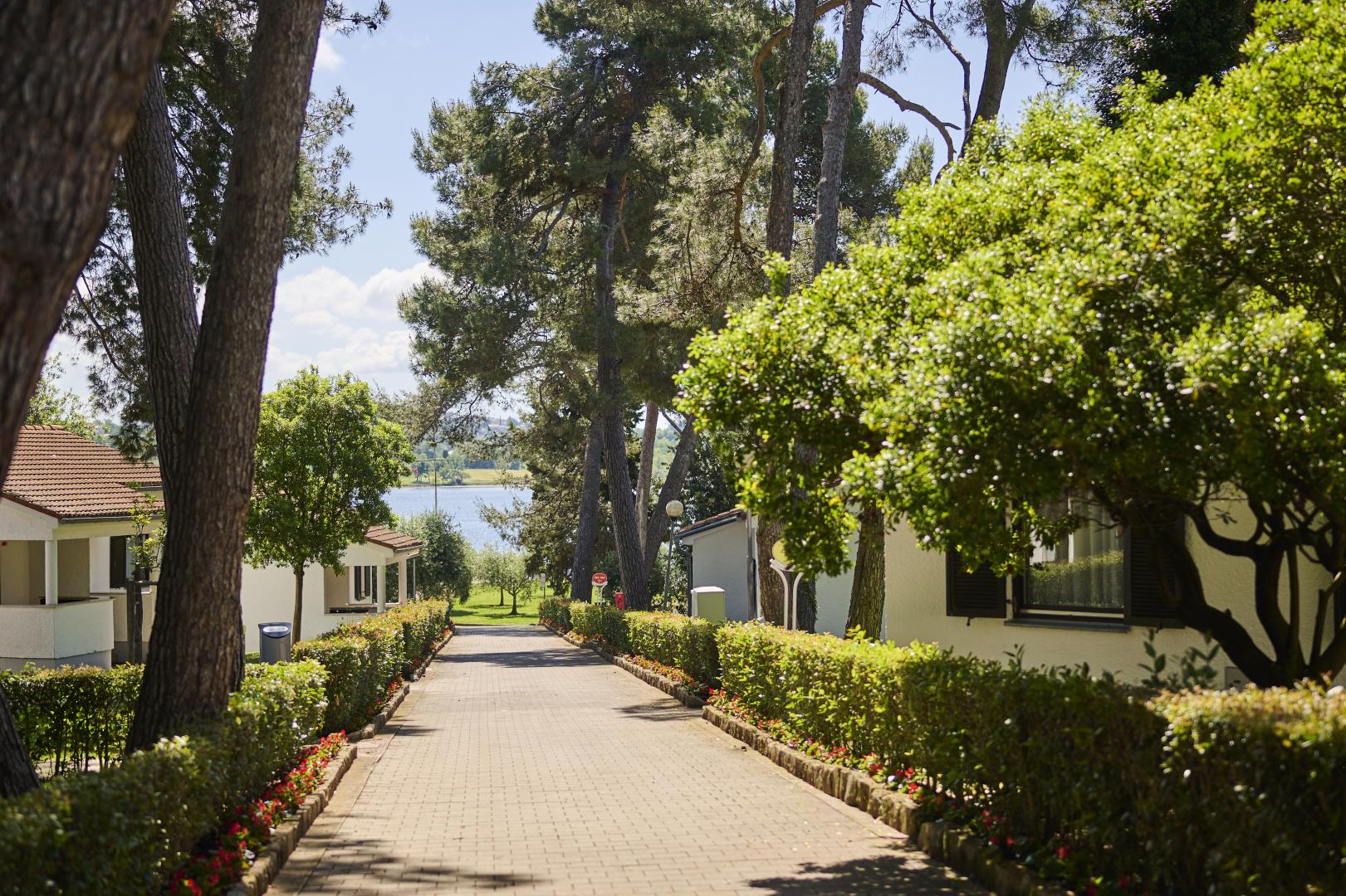 Apartments Galijot Plava Laguna foto 18