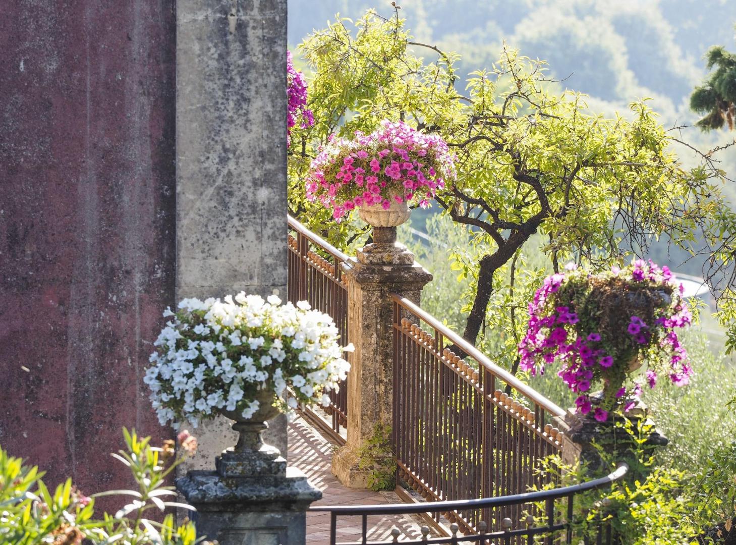 Monaci delle Terre Nere foto 43