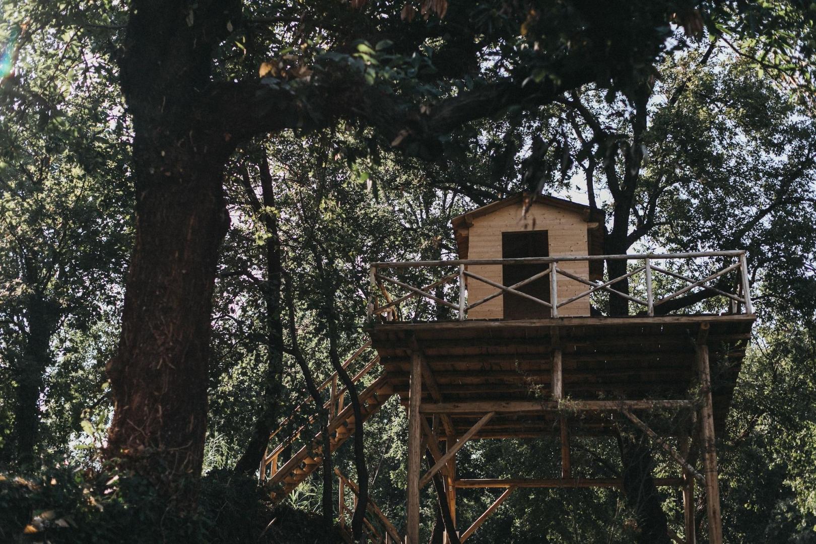 Monaci delle Terre Nere foto 48