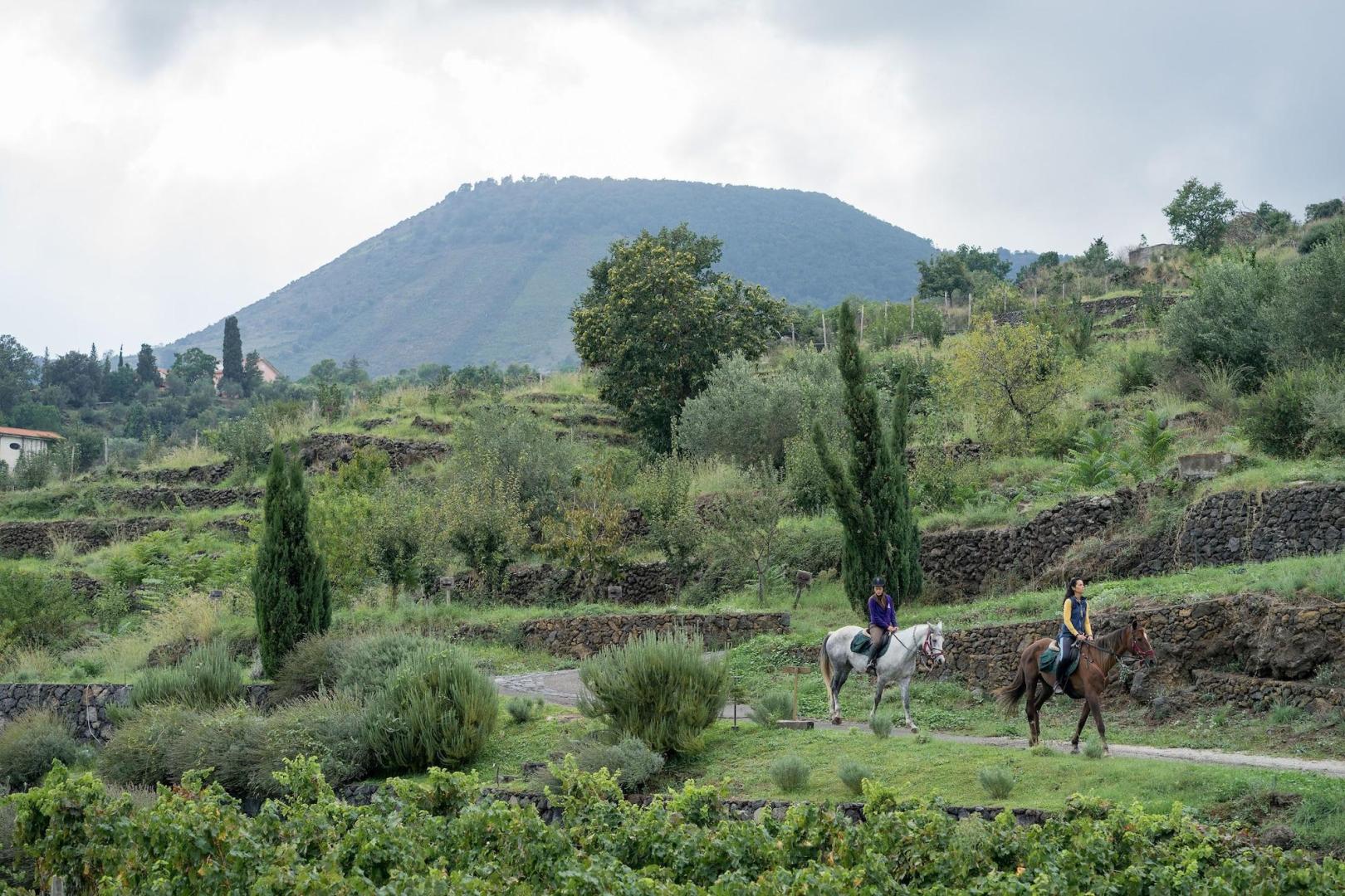 Monaci delle Terre Nere foto 34