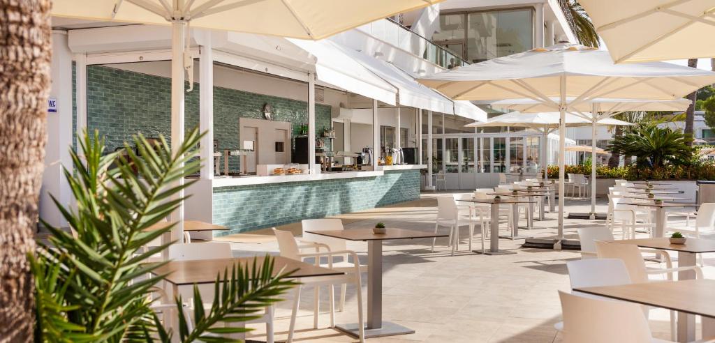 Globales Mimosa image 3